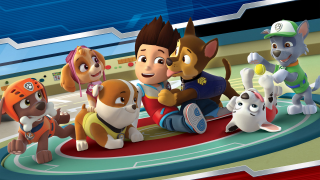 paw-patrol 2 lys